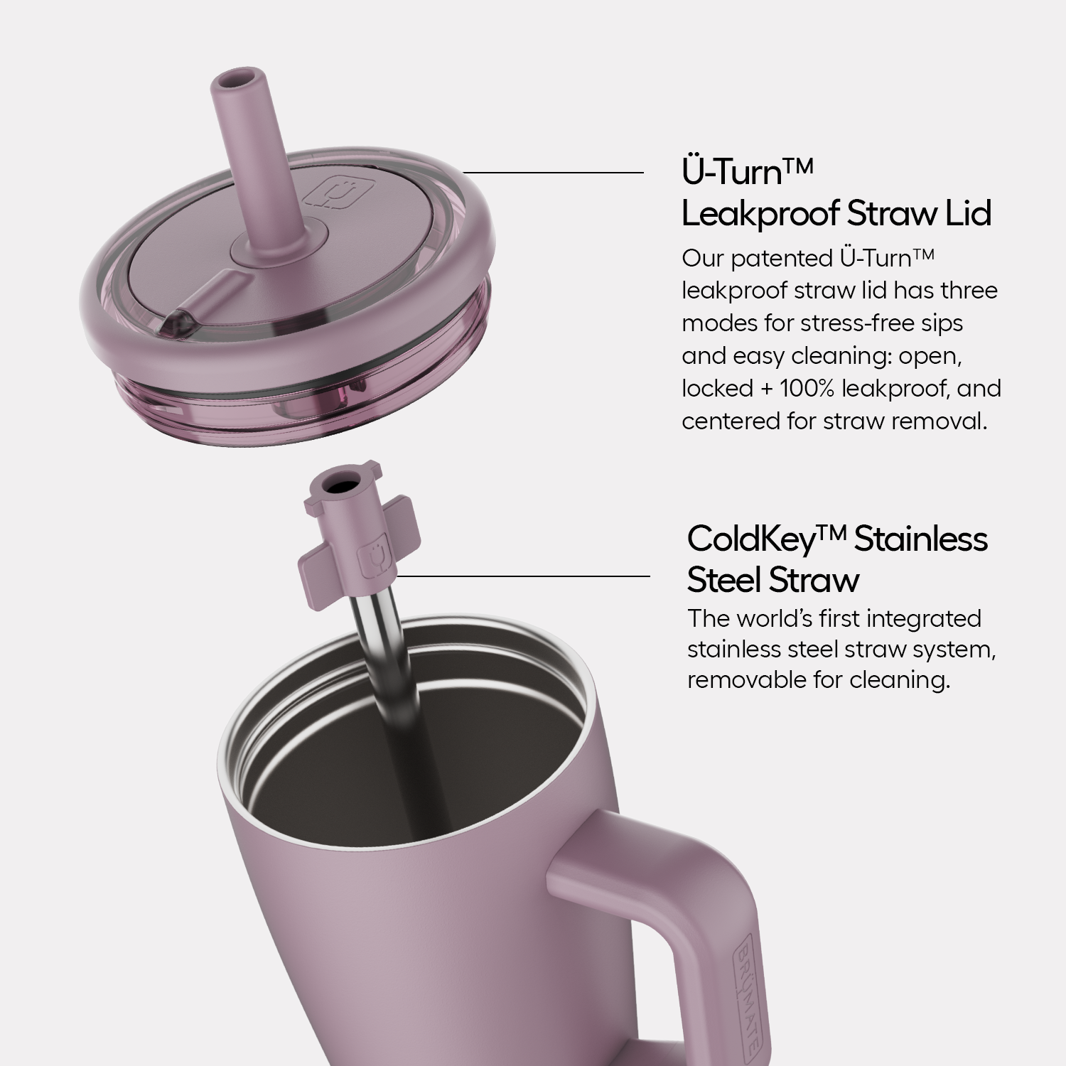 Era 20oz | Primrose