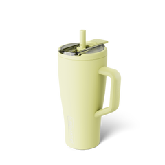 Era Flip 30oz | Prickly Pear